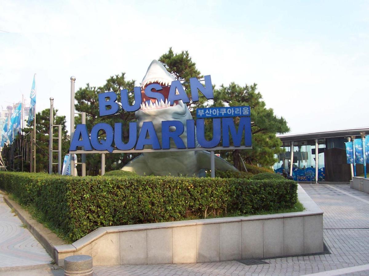 Apartament Haeundae Luxury House Pusan Zewnętrze zdjęcie